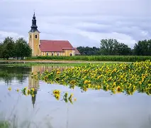 kaiyun-苏格兰客场战平斯洛文尼亚，晋级前景堪忧的简单介绍